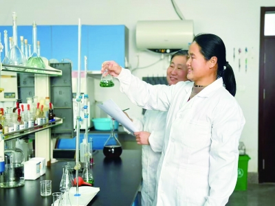 新春走基层 | 中科院禹城综合试验站：4.9万份“样品档案”背后的坚守