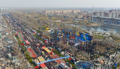 新春走基层 | 赴恩城鸽子会 享新春嘉年华