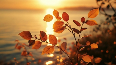 诗 | 张学丰：小外孙周岁有寄​（外一首）