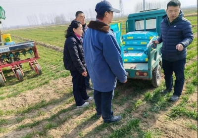 春管正当时 农技专家田间“问诊”