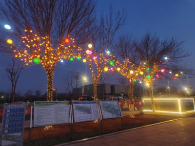 【我们的节日】德州长河公园：千盏灯火映新春