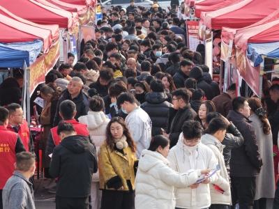 乐陵：“春风”送岗促就业