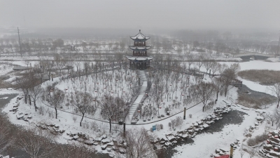 乐陵：大雪过后，全城同心保畅通