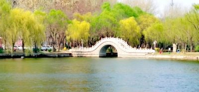 诗｜于占德：新湖春晓