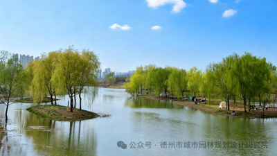 春日露营天花板！周末来德州杨庄河景区共赴花海露营之约！