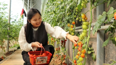 四季有果 全年可游 | 尚堂镇盘活生态资源做强花果经济