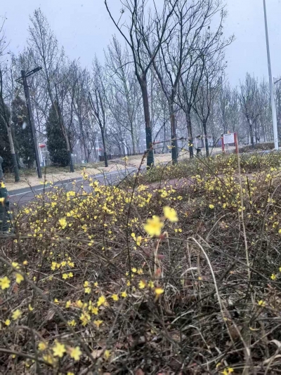 散文｜石继勇：丙午春雨记