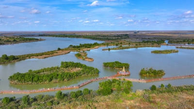 组诗｜于春峰：高粱，高粱