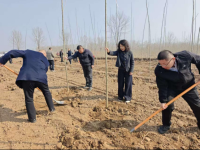 中国人寿庆云县支公司：参加全民义务植树活动