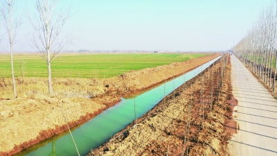 乐陵：打通农田灌排“最后一米”