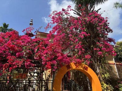 诗｜岳长金：琼岛行吟六首