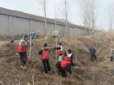 天衢新区宋官屯街道开展植树节系列主题活动