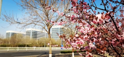 词｜高迎春：鹧鸪天  ·  春分喜逢龙抬头