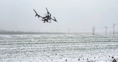 这场春雪，禹城市78万亩小麦喝足“返青水”