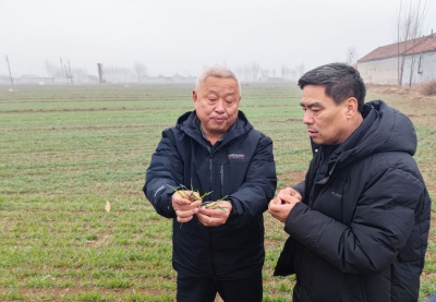德州市农科院与临邑县开展院地共建