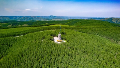 词 | 李凤林：雨霖铃 · 倒春寒