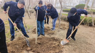 党建联建植新绿 | 德州市园林绿化服务中心开展联合植树活动