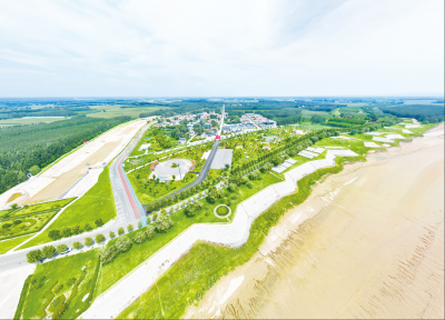 齐河国土绿化接续推进 2000余亩苗木扎根黄河畔