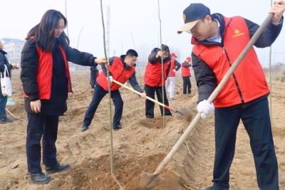 平原县农商银行：参加义务植树活动 