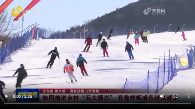 走在前 挑大梁·国家战略山东答卷丨协同推进乡村“五大振兴” 齐鲁样板成色越来越足