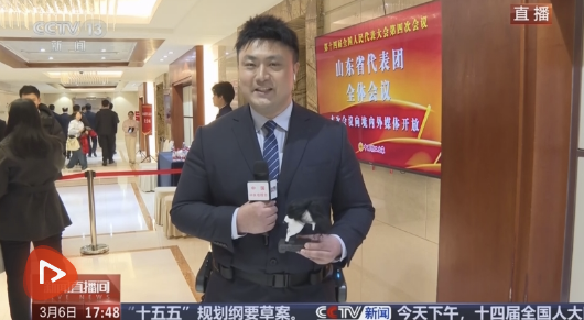 山东代表团举行开放团组活动