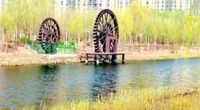 组诗 | 王季春: 龙抬头