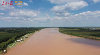 我从山东来⑦ | 一位黄河入海口代表的“粮安梦”： 只为“盐碱荒”变“新粮仓”