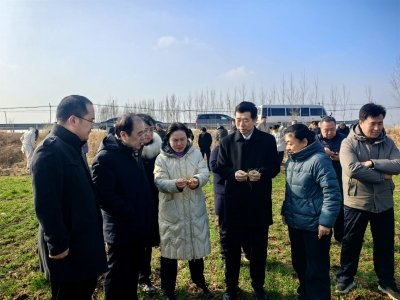 德州市供销社：党建联建 业务联动 “三级四联”惠三农