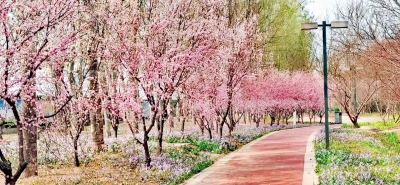 诗｜王朝忠：庆春龙节（外一首）