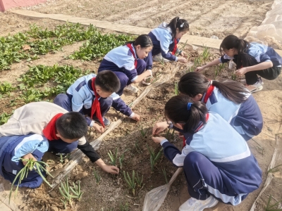 德州天衢新区康博小学举行康美劳动春耕启动仪式