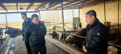 麦田里的“科技赶集” ：市农科院专家支招春季田管