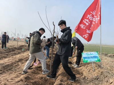 德州市住房公积金管理中心植绿添彩 助力生态文明建设