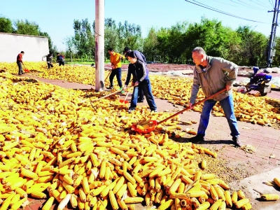 山东建筑大学驻乐陵朱集村第一书记王琳：助力乡村面貌大变样