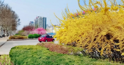 散文 | 陈金梅：春风絮语