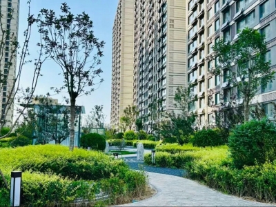 嘉泰·书香名苑：实景园林焕新呈现 诗意栖居触手可及