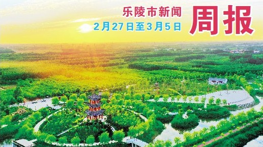 乐陵市新闻周报（2月27日至3月5日）
