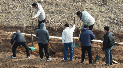 绿满两河·美在德州 | 德州市2026年义务植树活动全面启动  