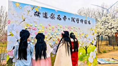 “梨花季”里话宣讲 文化春风暖人心