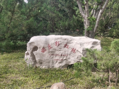 散文 | 李凤林：调度彩虹林的时光诗笺