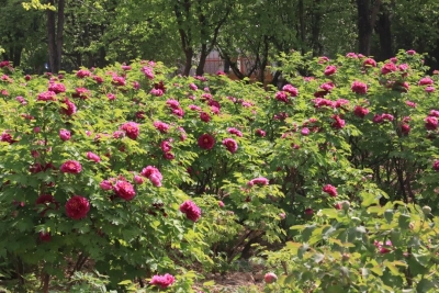 诗｜张清昌：固我金瓯二首