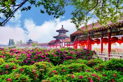 一座城市的“花式”突围