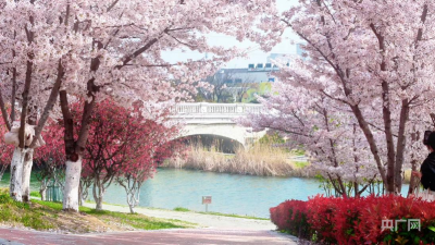 春日里的中国丨春风织锦绣，繁花满新城