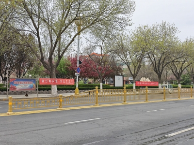 宁津：人大监督助力城市颜值“焕新”