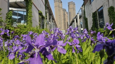 共赴武林盛宴！德工文创园武术展演大会即将开启