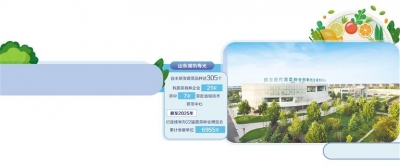 蔬菜之乡有了“中国芯”——来自山东潍坊寿光市的调查