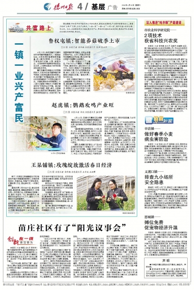 创新在一线·善治善为丨苗庄社区有了“阳光议事会”