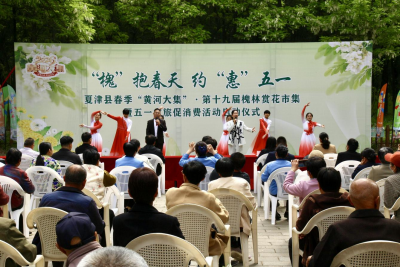 “槐”抱欢乐 约“惠”五一  | 夏津县春季“黄河大集” 第十九届槐林赏花市集启幕