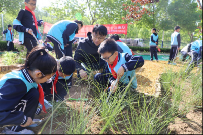 德州园林联合天衢东路小学开展花园共建活动