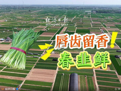 土特产探路记 | “韭”香不怕巷子深，山东莘县有绝招