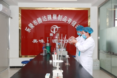 避开同质化竞争，乐陵调味企业靠细分赛道突围